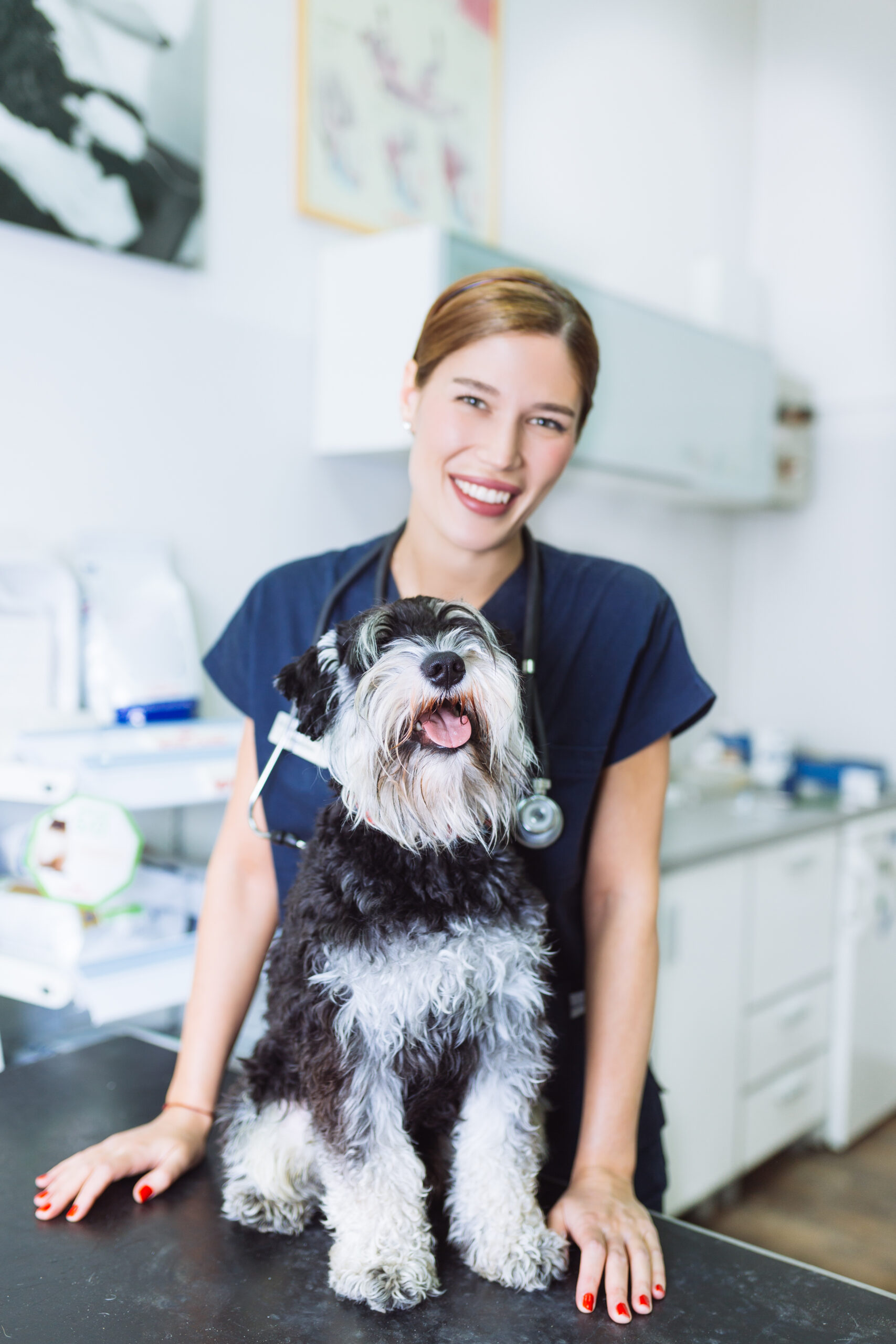 Nurse-Treatment-Dog